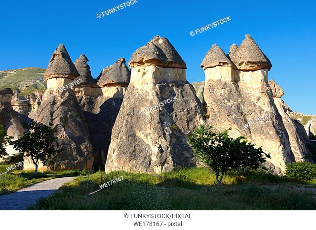 Pictures & images of the fairy chimney rock formations and rock pillars of “Pasaba Valley” near Goreme, Cappadocia, Nevsehir, Turkey