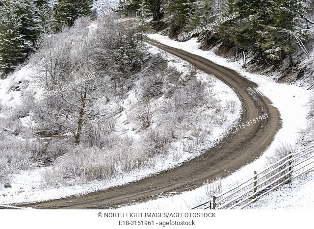 Canada, BC, Bridesville. Overhead view of curving dirt road surrounded by snowy landscape