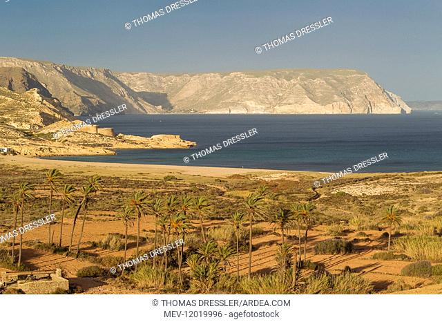 The Playazo beach with palm trees and the San Ramon castle on the left - Nature Reserve Cabo de Gata-Nijar, Almeria province, Andalusia, Spain