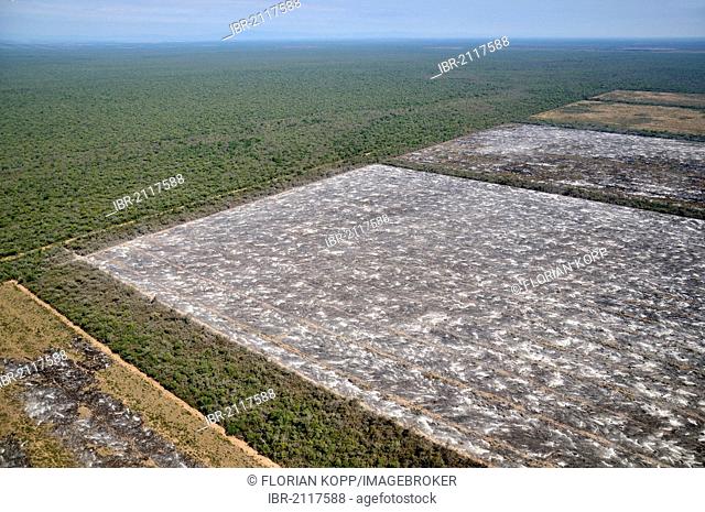 Aerial view, illegal fire clearing, trunks, branches and twigs of a cleared forest are burned on the future soybean fields in the Gran Chaco, Salta, Argentina