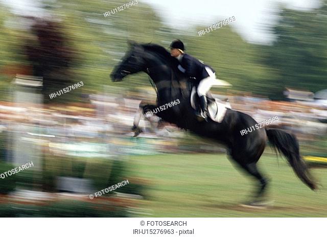 Horse jumping at an equestrian competition