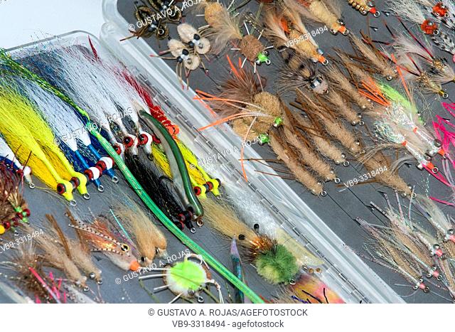 Saltwater fly fishing different fly fishing bugs in box
