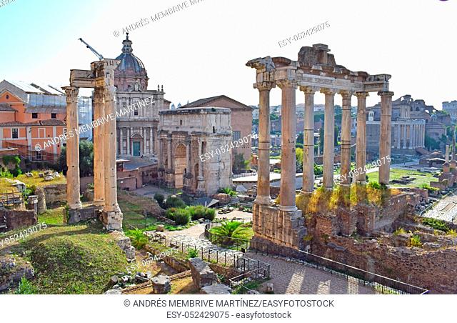Speaker's forum, Roman Forum in Rome