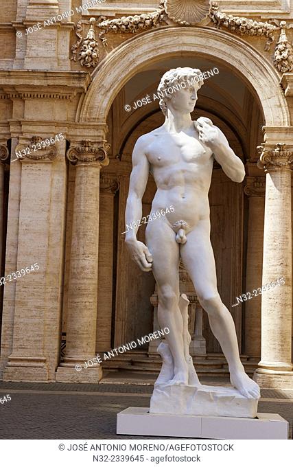 Palazzo dei Conservatori, Courtyard , Statue of David by Michelangelo, Capitoline Museum. Rome. Lazio, Italy