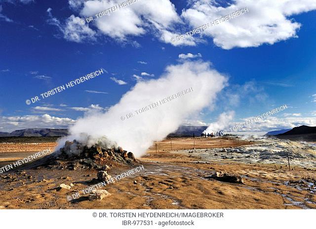 Fumaroles of Námaskarð, field of fumaroles at Námafjall Hill, the devil's kitchen, volcanic area of Krafla, Mývatn, Iceland, Europe