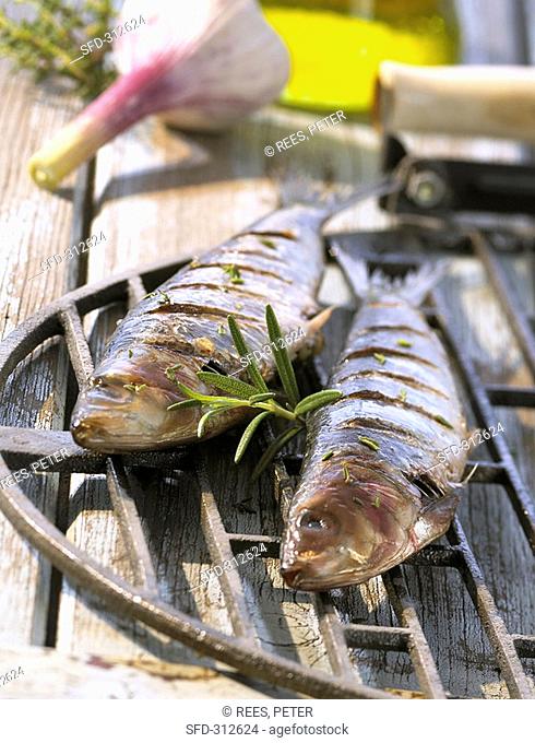 Stuffed grilled sardines