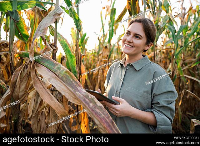 Smiling woman with digital tablet in maize field