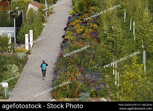 PRODUCTION - 20 September 2023, Baden-Württemberg, Mannheim: A visitor walks past a flower bed on the grounds of the Federal Horticultural Show
