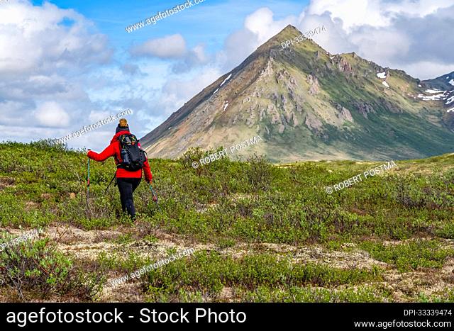 View taken from behind of a woman hiking along the Dempster Highway tundra enjoying the scenery; Yukon Canada