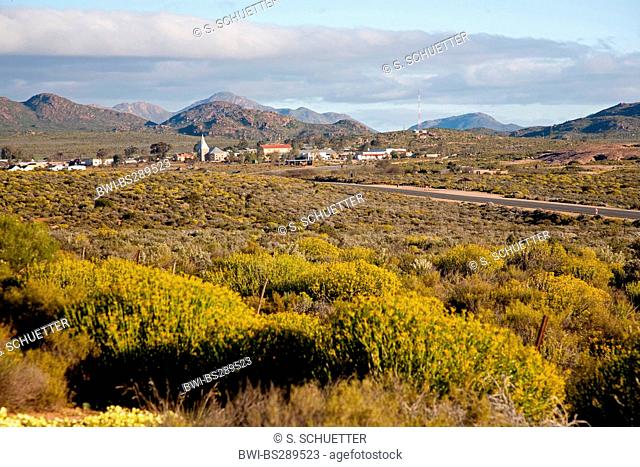 landscape and village Kamieskroon, South Africa, Namaqualand, Kamieskroon