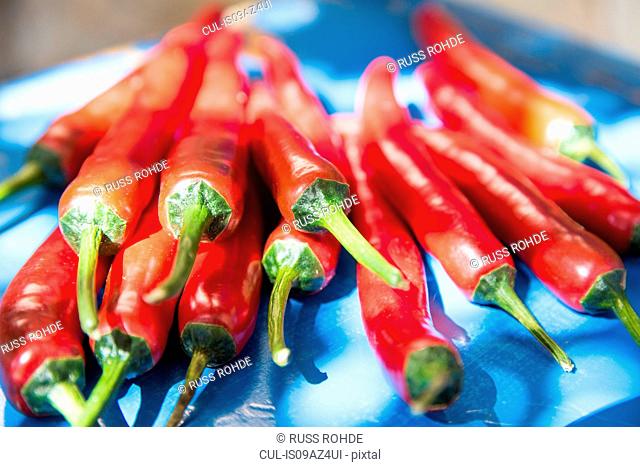 Medium group of fresh red chillies