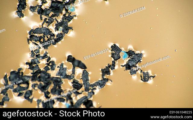 Microparticles of plastic in aquatic environment. Macro shooting of small and micro plastic pieces in water environment. Problems of environmental pollution...