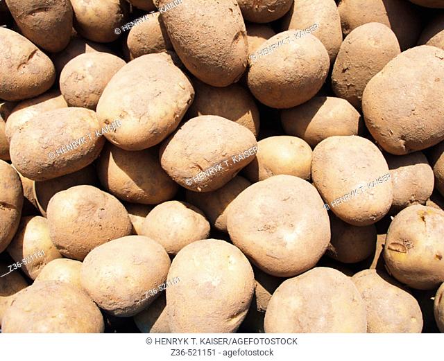 Potatoes, close-up