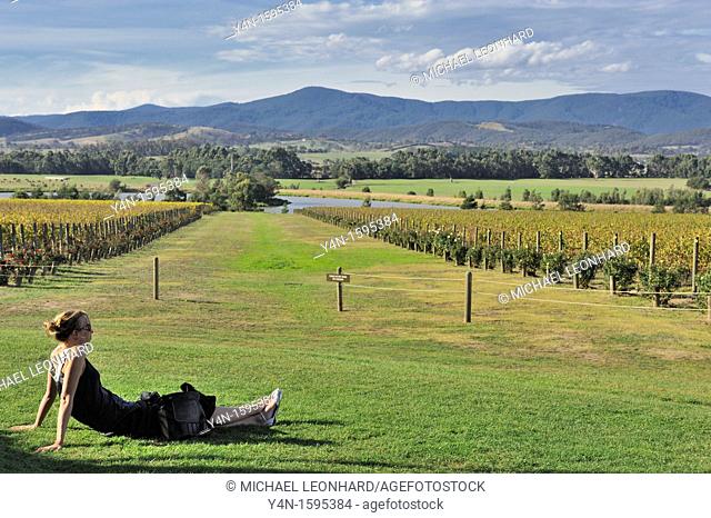 The Moet et Chandon Winery in the Yarra Valley, Victoria, Australia