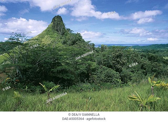 Federated States of Micronesia - Eastern Carolines Islands - Pohnpei (Ponape) Island - Basaltic hill covered with vegetation