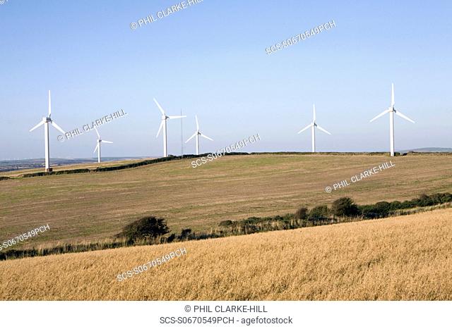 Wind turbines on the horizon with corn fields in the foreground and blue sky, near Truro, Cornwall, UK
