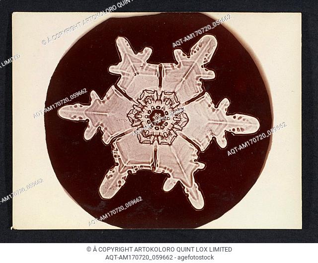 [Snow Crystal], 1890sâ€“1920s, Gelatin silver print, Image: 3 in. Ã— 3 1/8 in. (7.6 Ã— 8 cm), Photographs, Wilson Alwyn Bentley (American, 1865â€“1931)