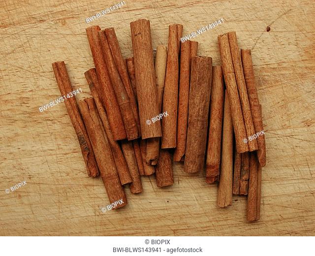 ceylon cinnamon Cinnamomum zeylanicum, cinnamon sticks