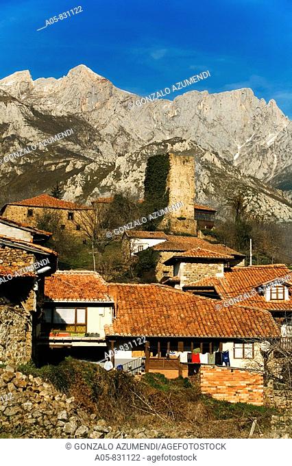 Mogrovejo, valley of Liebana, east massif of Picos de Europa National Park, Cantabria, Spain