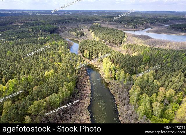 Europe, Poland, Kuyavian-Pomeranian Voivodeship, Brodnica Landscape Park - Skarlanka river