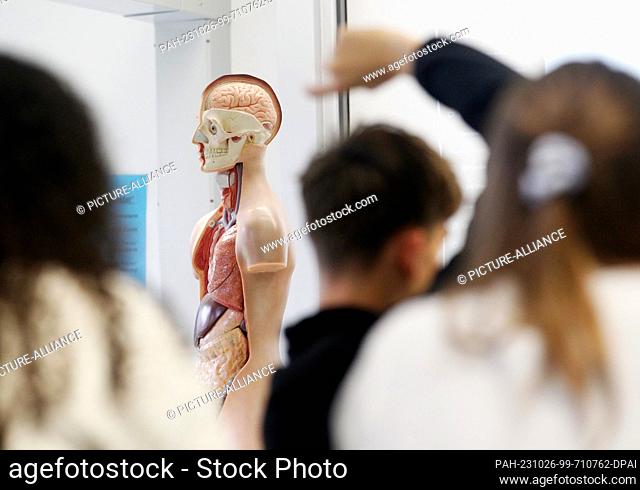 PRODUCTION - 18 October 2023, North Rhine-Westphalia, Gelsenkirchen: Students of the Bio Leistungskurs from Max Plank Gymnasium participate in class during a...