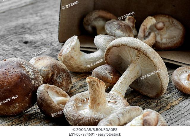 Shitake Mushroom in Cardboard Packaging on Wood Background