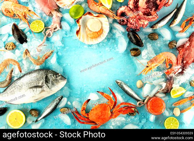 Fish and seafood variety, a flat lay top shot, a frame with a place for text on a blue background. Fish, shrimps, crab, squid, mussels and clams