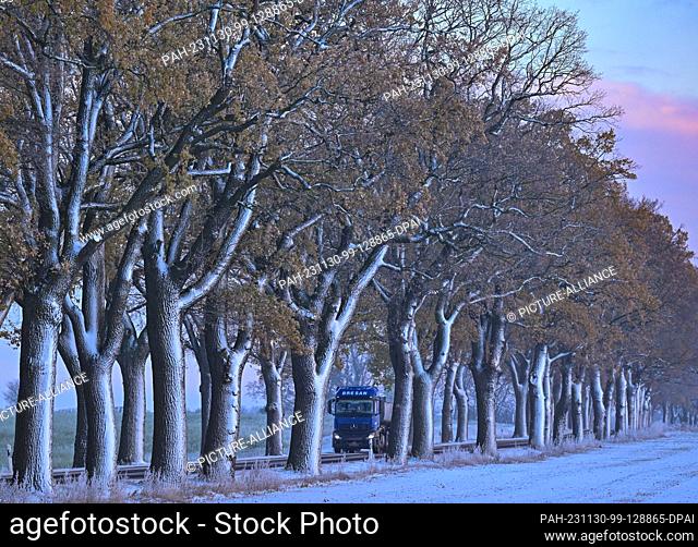 30 November 2023, Brandenburg, Petersdorf: A truck drives along a snow-covered avenue in the Oder-Spree district in the east of Brandenburg