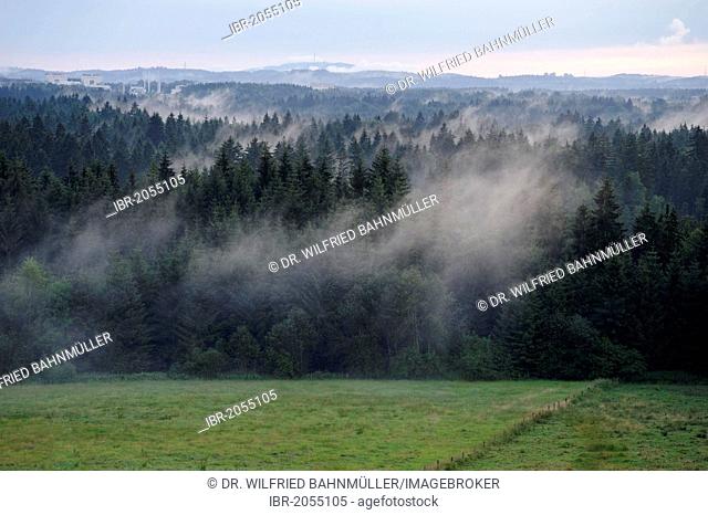 Fog after a thunderstorm in summer, evening mood, Nantesbuch near Bad Heilbrunn, Upper Bavaria, Bavaria, Germany, Europe