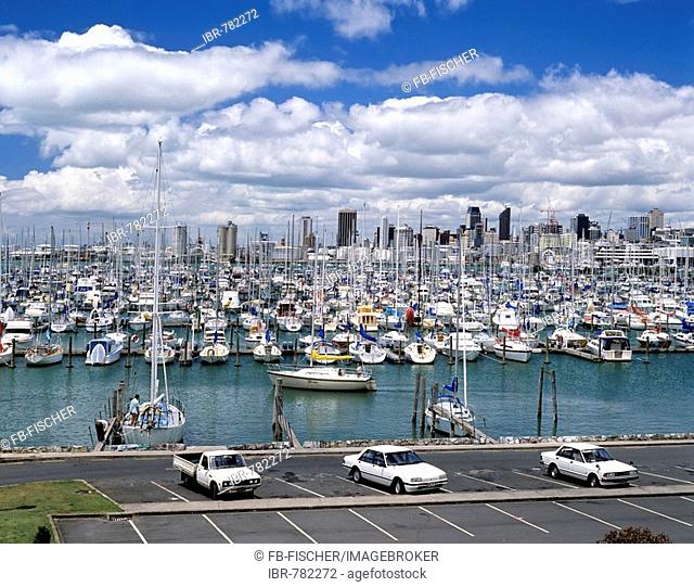 Auckland Harbour, sailing boats, marina and skyline, Auckland, New Zealand