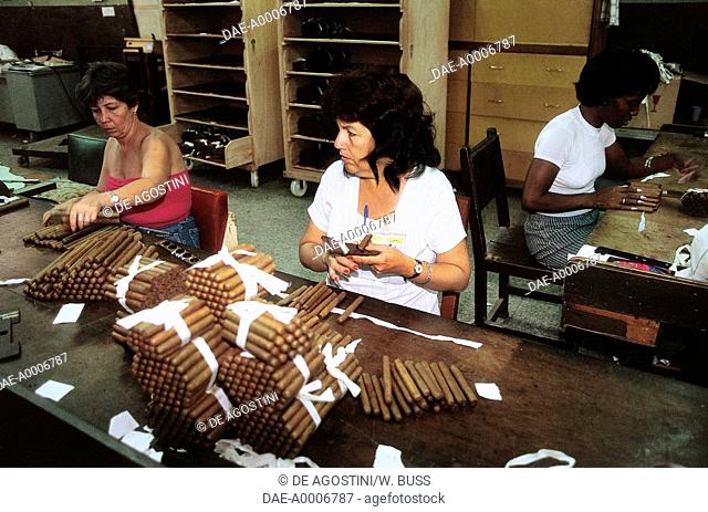 Women bundling cigars, Partagas cigar factory, Cuba