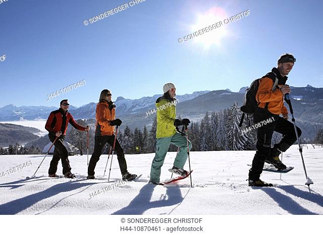 Switzerland, winter sports, snowshoe, snowshoeing, running, Gibelegg, canton Bern, group, four, persons, people, tourism, holidays, winters, walk, snowy shoes