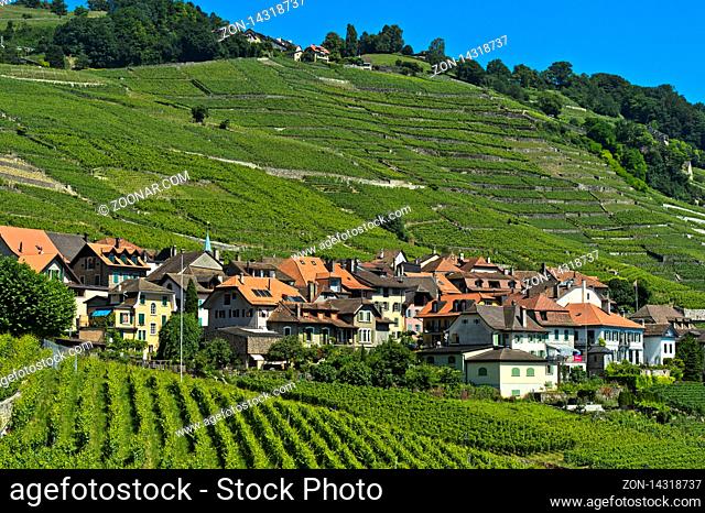 Winzerdorf Epesses in der Weinbauregion Lavaux, UNESCO Welterbe, Waadt, Schweiz / Winegrowing village Epesses in the UNESCO-listed Lavaux vineyard region, Vaud