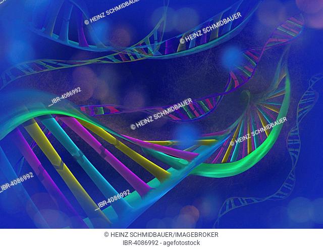DNA chains, illustration