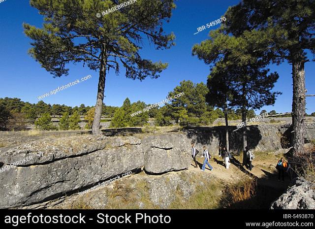 Rock landscape, Castilla-La, the enchanted city, Ciudad Encantada limestone landscape, on the Jucar, Cuenca, Castilla-La Mancha, Castilla, Spain, Europe
