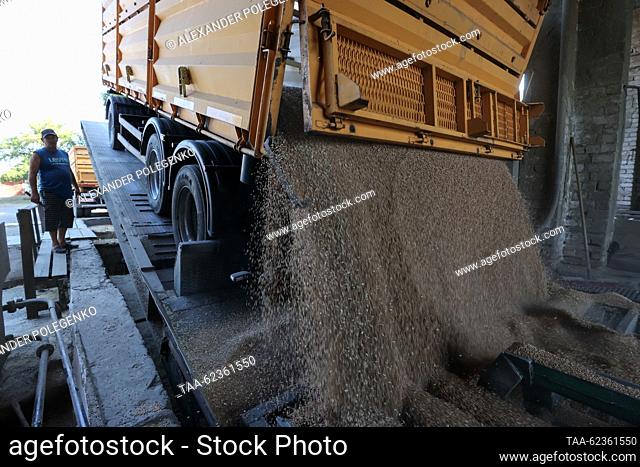 RUSSIA, ZAPOROZHYE REGION - SEPTEMBER 19, 2023: Unloading harvested crops at an elevator of the State Grain Elevator. Farmers bring crops that undergo several...