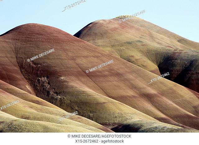 The red clay and ash of the Painted Hills contrast with the late day blue, cloudless sky in East Central Oregon