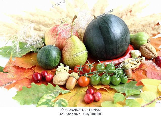 Healthy organic vegetables and fruits