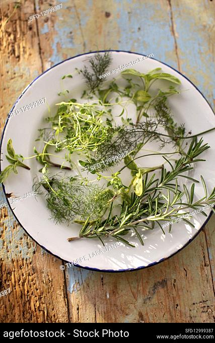 Fresh herbs - fennel, rosmery, sage, tyme