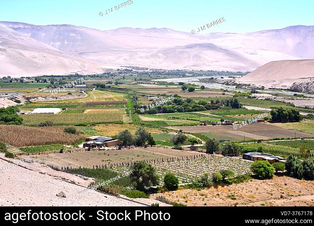 Lluta valley, river and farmlands. Arica, Norte Grande de Chile, Region de Arica y Parinacota, Chile