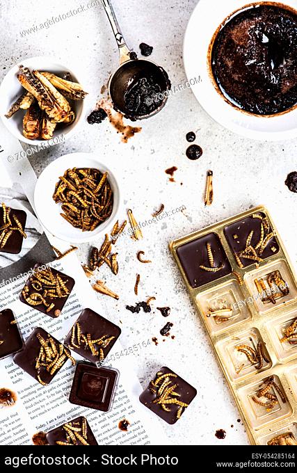 Making chocolate with edible insects. Culinary trends