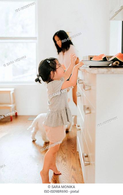 Girl tiptoeing for watermelon in kitchen, mother in background