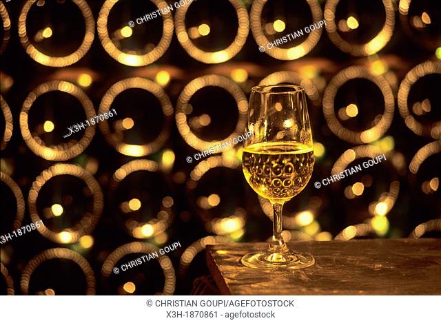 glass of Champagne in the Leblond-Lenoir cellar at Buxeuil, Aube department, Champagne-Ardenne region, France, Europe