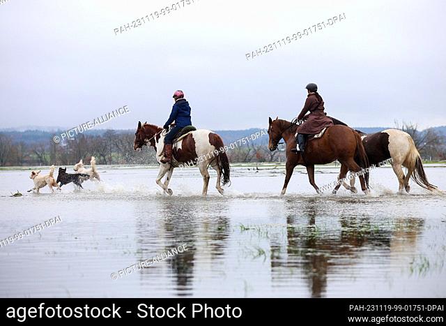 19 November 2023, Baden-Württemberg, Riedlingen: Riders are out and about with their horses and dogs on the flooded Danube cycle path