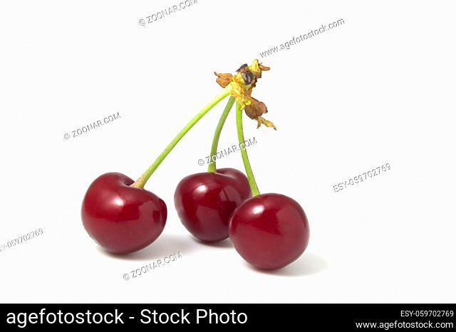 Three cherries isolated on white background. Fresh fruits full focus