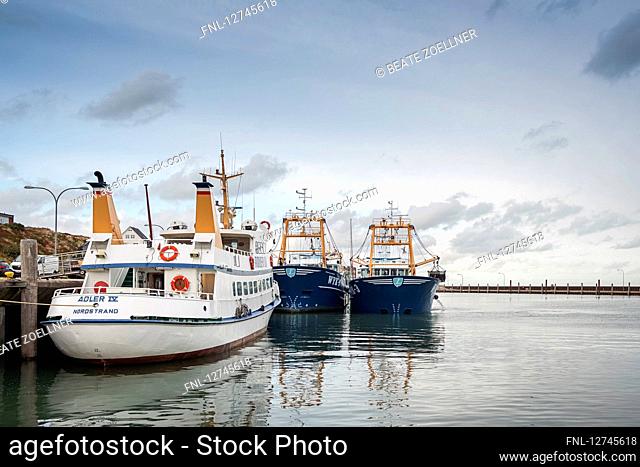 Harbour, Hoernum, Sylt, Schleswig-Holstein, Germany, Europe