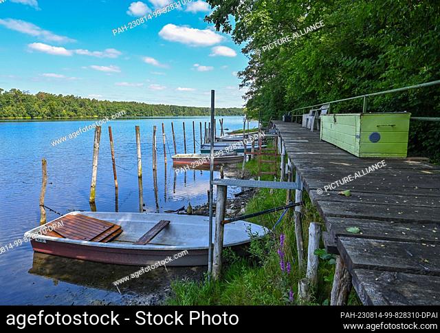 PRODUCTION - 11 August 2023, Brandenburg, Strausberg: There is a jetty almost two meters away from the boats, which have long since been dry on the southern tip...