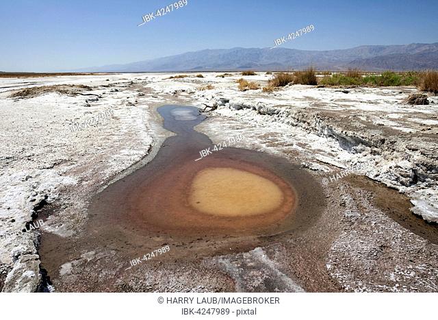 Salt Basin, near Furnace Creek, Panamint Range behind, Black Mountains, Death Valley National Park, Mojave Desert, California, USA