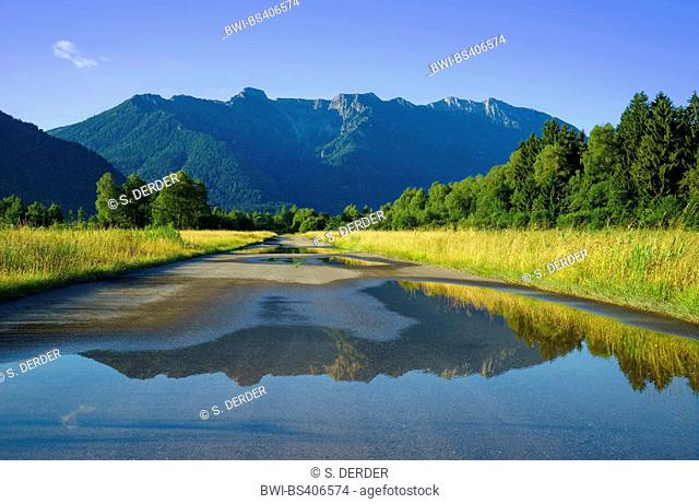 Hohe Kisten and Ammer Mountains mirroring in a puddle, Germany, Bavaria, Oberbayern, Upper Bavaria, Murnauer Moos