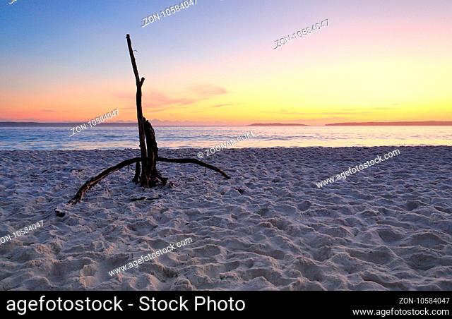 Dawn colours in the sky and driftwood in the sand at Hyams Beach Jervis Bay